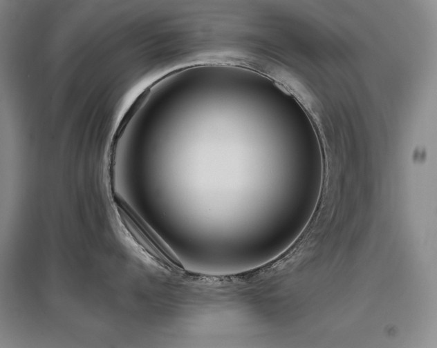 X0000097650960200802291447