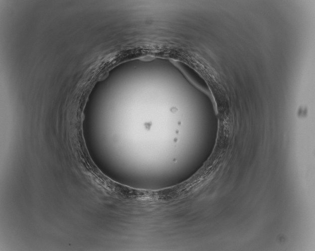 X0000097650961200802291446