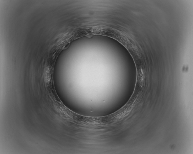 X0000097650962200802291446