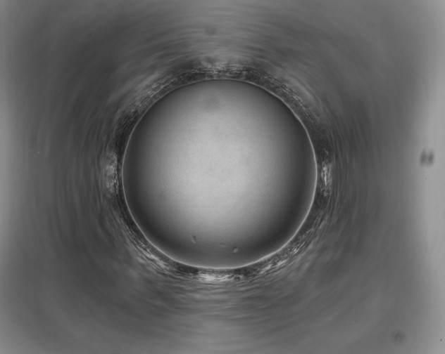 X0000097650963200802291446