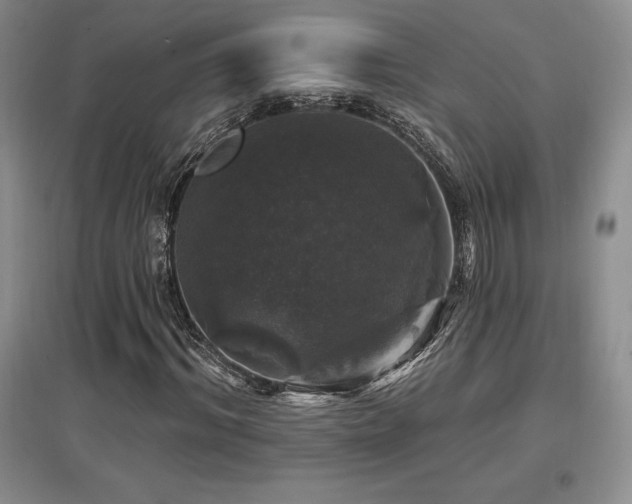 X0000097650964200802291446