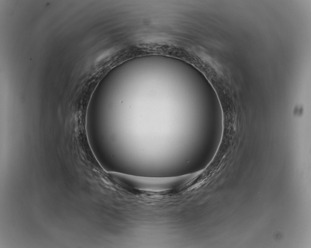 X0000097650965200802291446