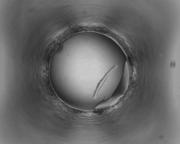 X0000097650966200802291446