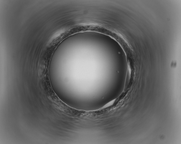 X0000097650967200802291446