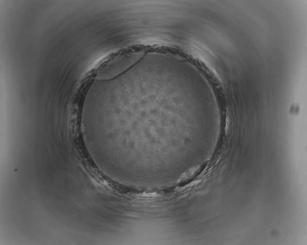 X0000097650968200802291446