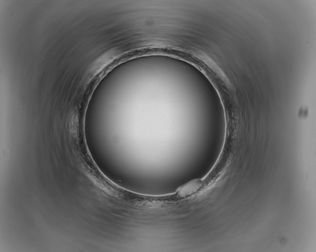 X0000097650969200802291446