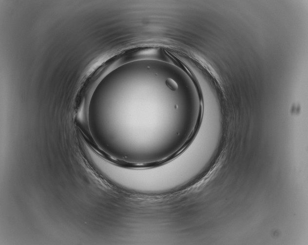 X0000097650970200802291446