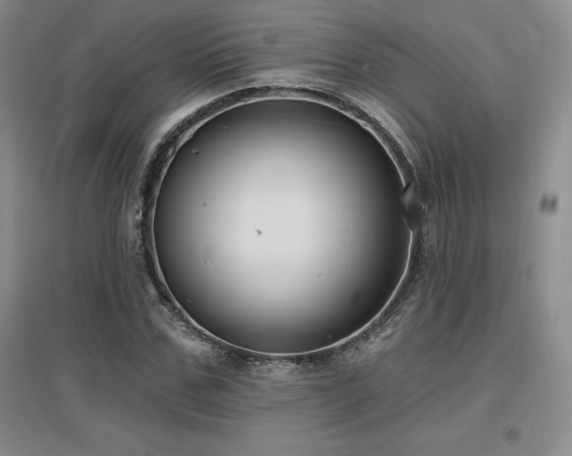 X0000097650971200802291446