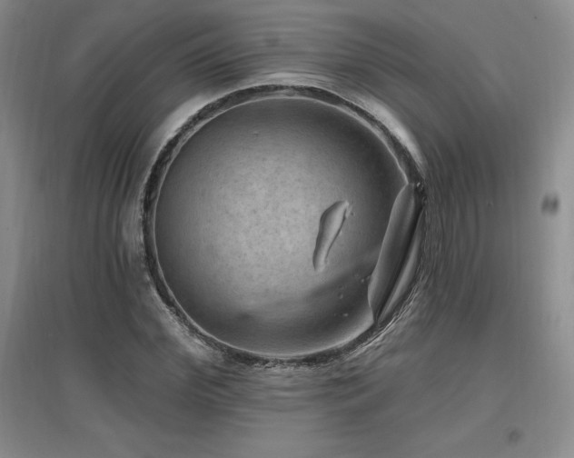 X0000097650972200802291446