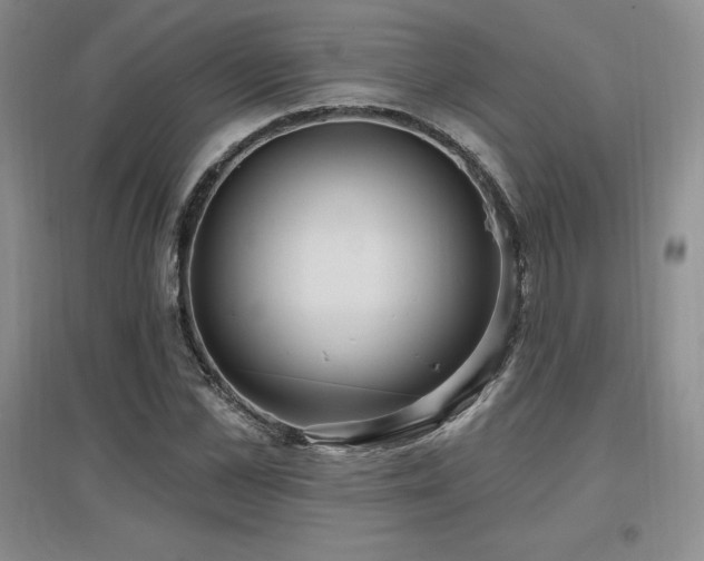 X0000097650973200802291446