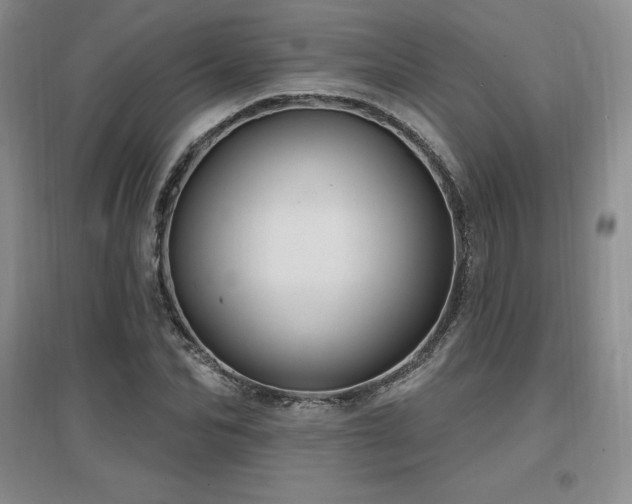 X0000097650974200802291446