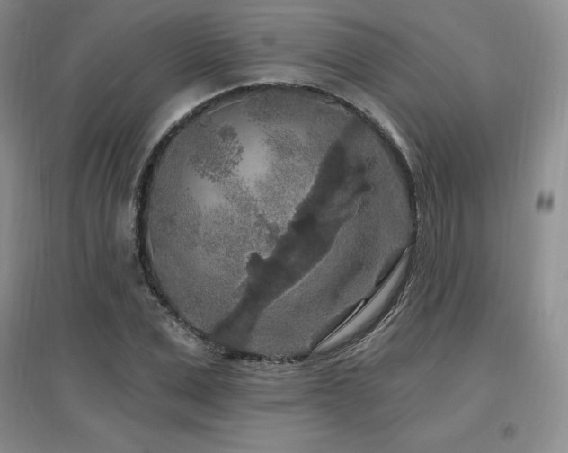 X0000097650975200802291446