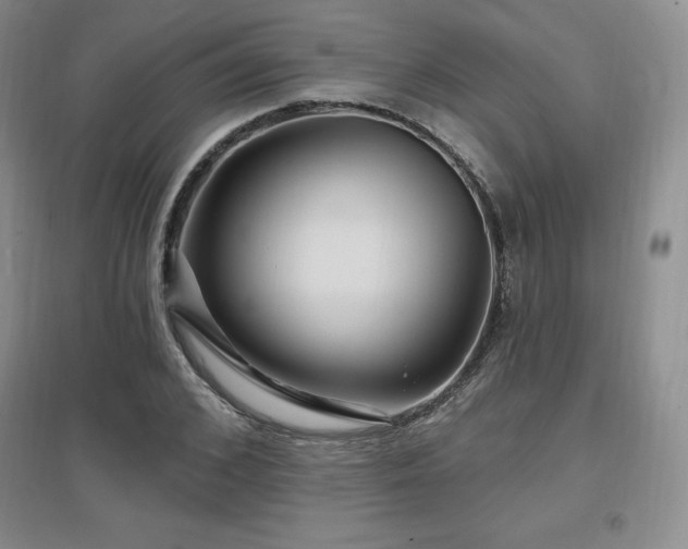 X0000097650976200802291446