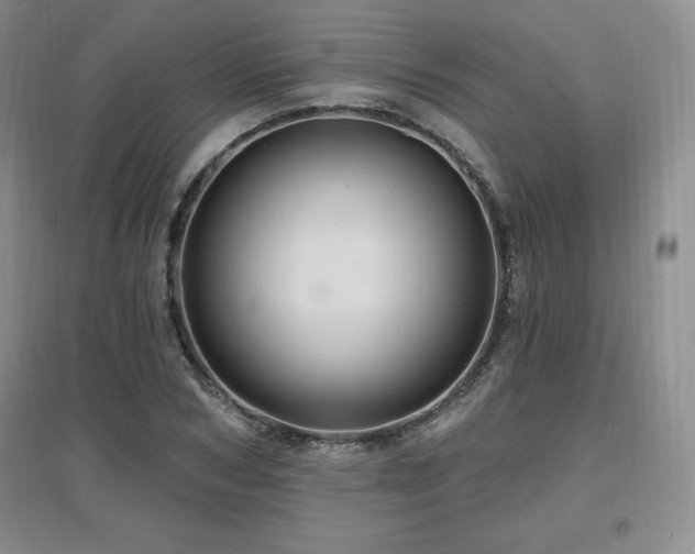 X0000097650978200802291446