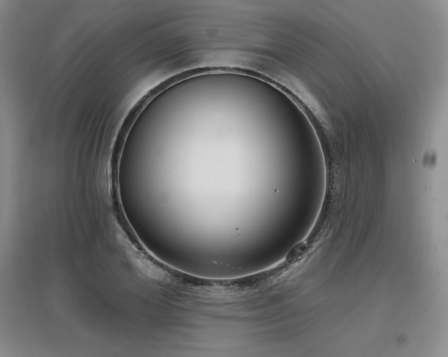 X0000097650980200802291446