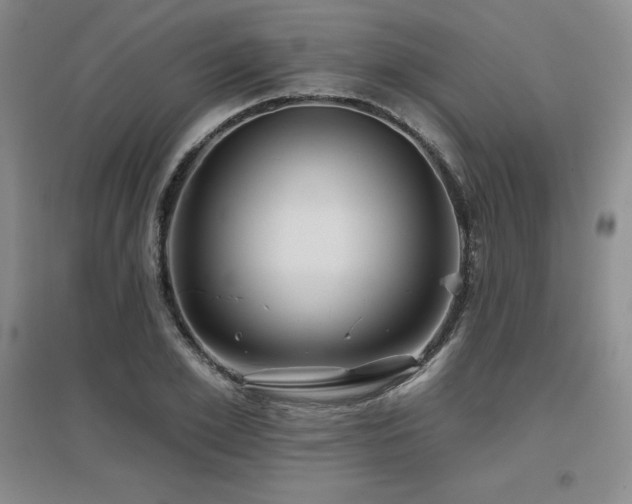 X0000097650981200802291446