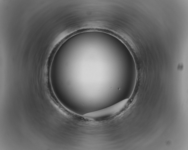 X0000097650982200802291446