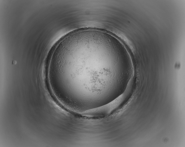 X0000097650983200802291446