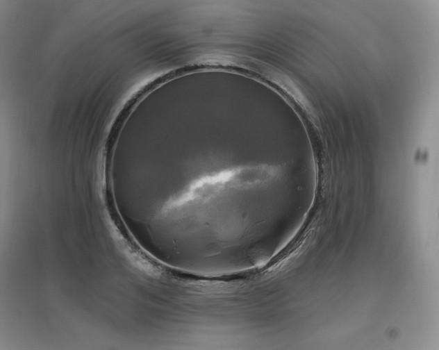 X0000097650984200802291446