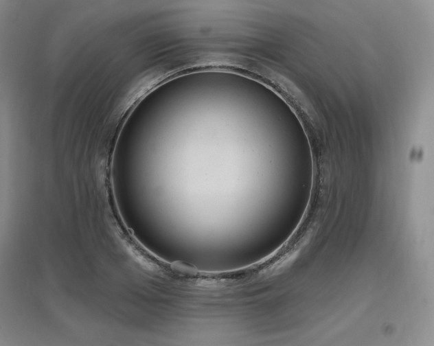 X0000097650985200802291446