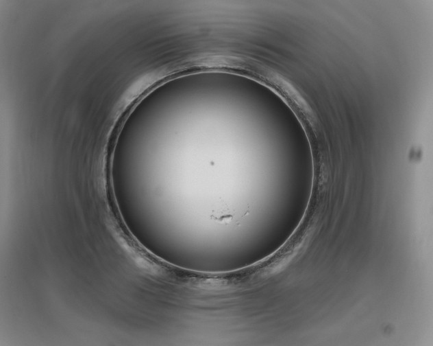 X0000097650986200802291446