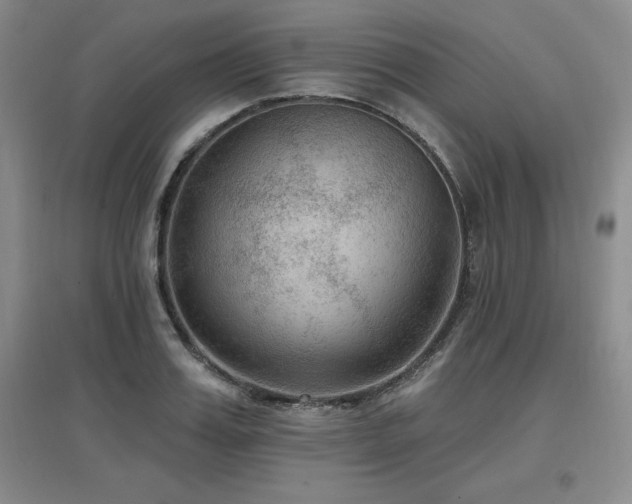 X0000097650987200802291446