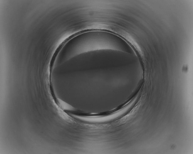 X0000097650988200802291446