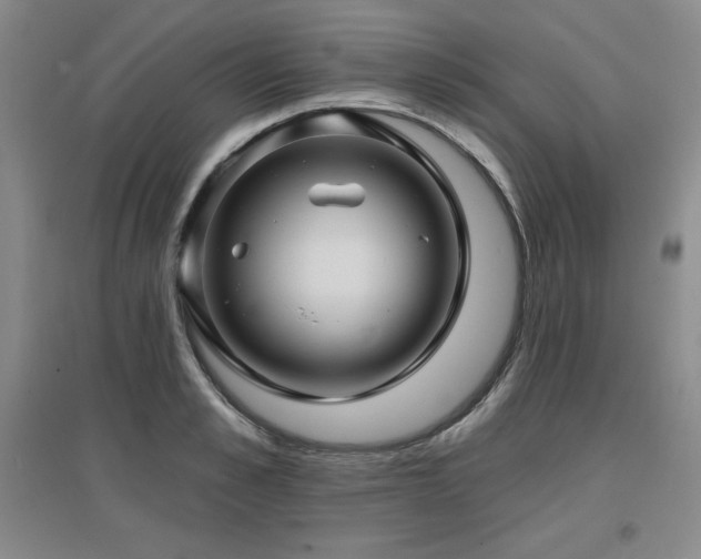 X0000097650989200802291446