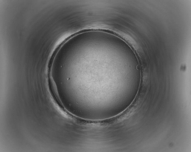 X0000097650990200802291446