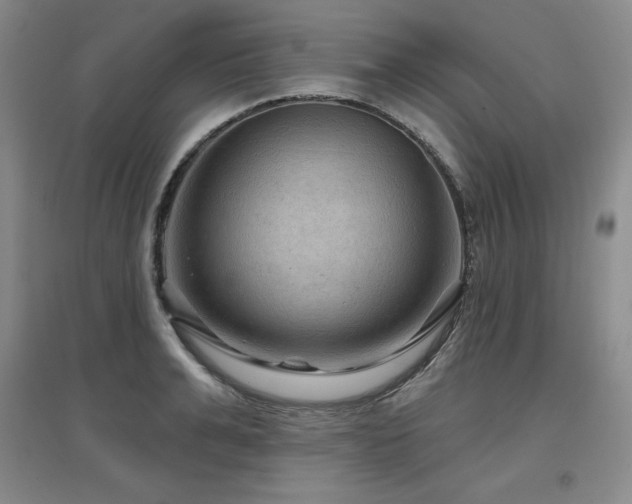 X0000097650991200802291446