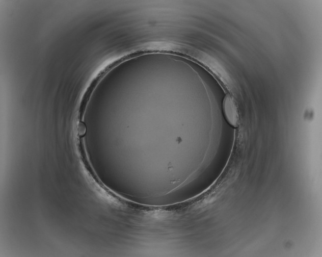 X0000097650992200802291446