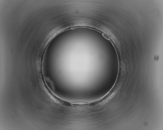 X0000097650993200802291446