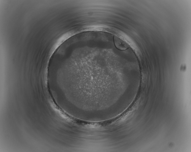 X0000097650994200802291446