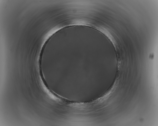 X0000097650995200802291446