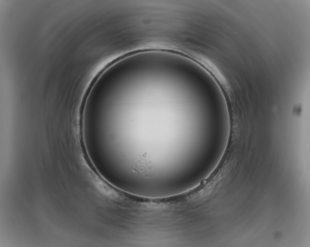 X0000097650996200802291446