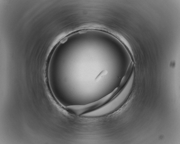 X0000097650997200802291446