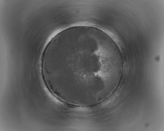 X0000097650998200802291446