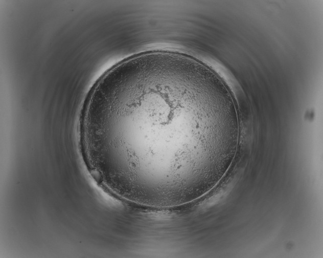 X0000097650999200802291446