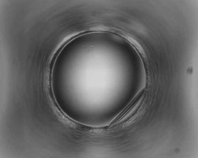 X0000097651000200802291446