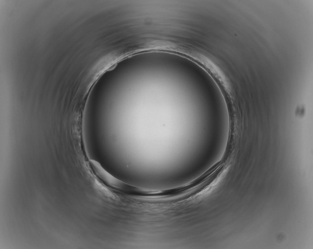 X0000097651001200802291446