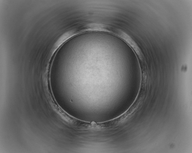 X0000097651002200802291446