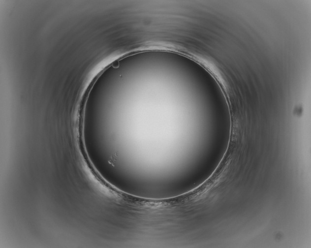 X0000097651003200802291446