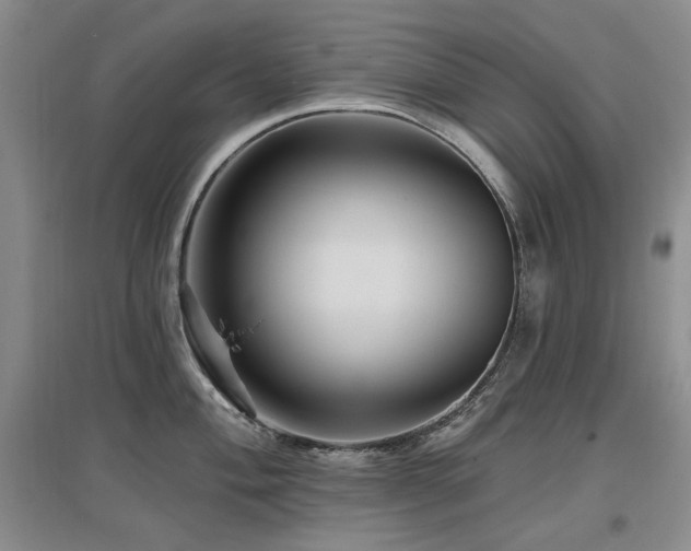 X0000097651004200802291446