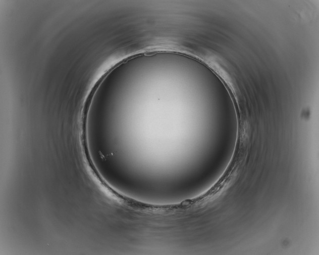 X0000097651005200802291446