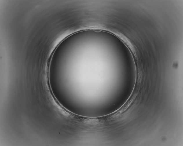 X0000097651006200802291446