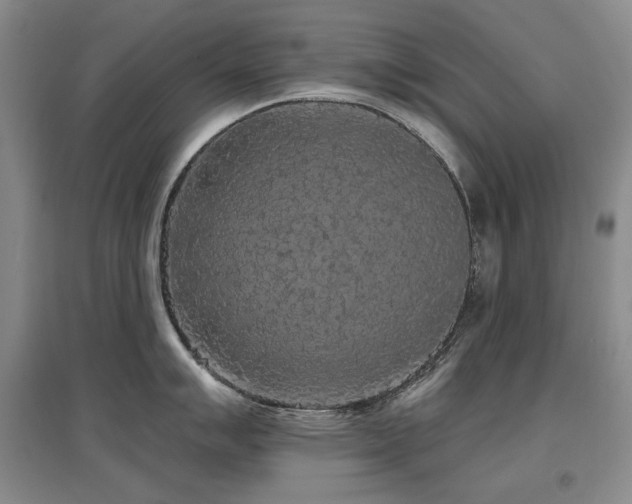 X0000097651007200802291446