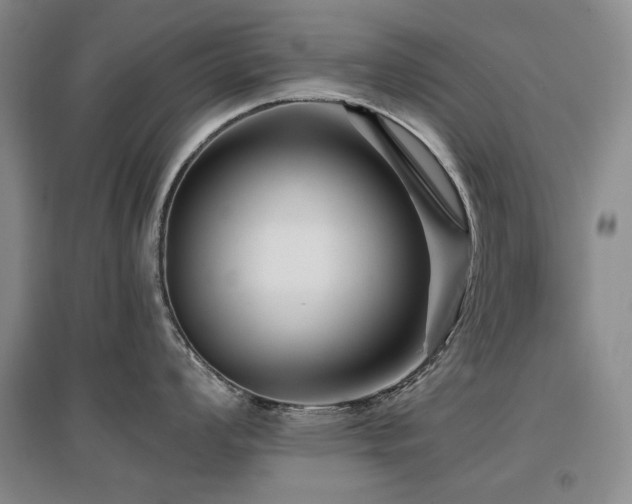 X0000097651008200802291446