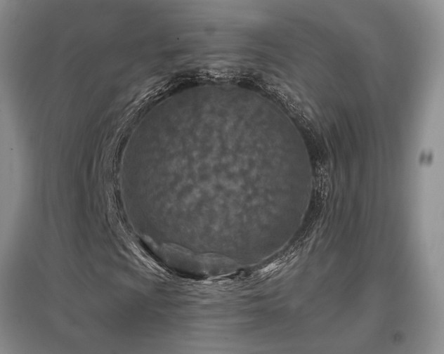X0000097651009200802291445