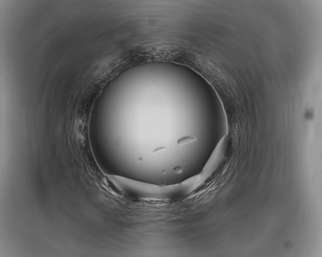 X0000097651010200802291445