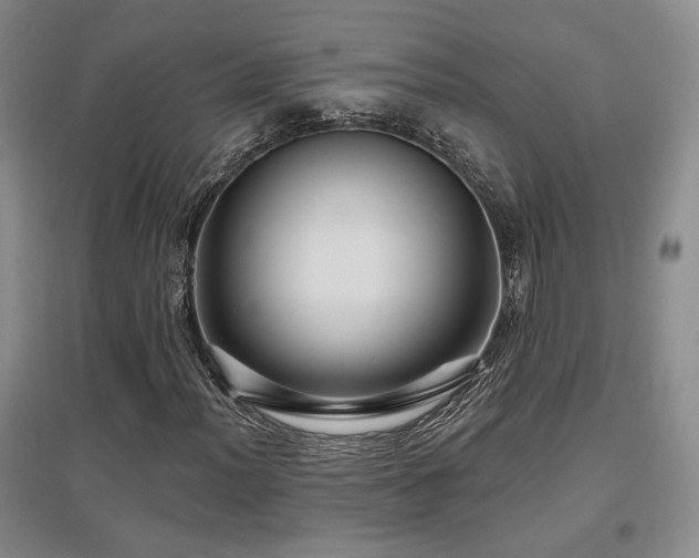 X0000097651012200802291445